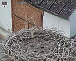Capi_Dubne_20260810_070002.jpg