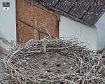 Capi_Dubne_20260810_070504.jpg