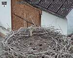 Capi_Dubne_20260810_071004.jpg