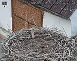 Capi_Dubne_20260810_072504.jpg