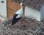 Capi_Dubne_20260810_122503.jpg