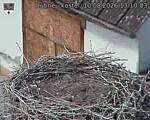 Capi_Dubne_20260810_131003.jpg