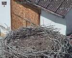 Capi_Dubne_20260810_132505.jpg