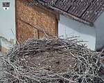 Capi_Dubne_20260810_133504.jpg