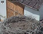 Capi_Dubne_20260810_134005.jpg