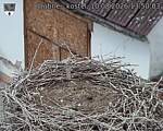 Capi_Dubne_20260810_135003.jpg