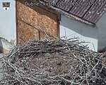Capi_Dubne_20260810_135504.jpg