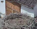 Capi_Dubne_20260810_140504.jpg