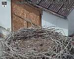 Capi_Dubne_20260810_142003.jpg