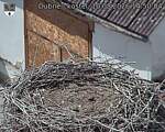 Capi_Dubne_20260810_145004.jpg