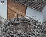 Capi_Dubne_20260810_150503.jpg