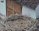 Capi_Dubne_20260810_151502.jpg