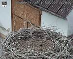 Capi_Dubne_20260810_152002.jpg