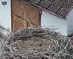 Capi_Dubne_20260810_153003.jpg