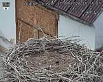Capi_Dubne_20260810_153503.jpg