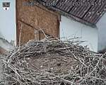 Capi_Dubne_20260810_154503.jpg