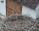 Capi_Dubne_20260810_155003.jpg