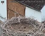 Capi_Dubne_20260810_194003.jpg