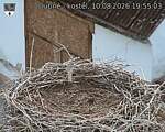 Capi_Dubne_20260810_195503.jpg