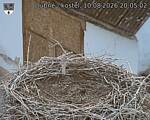 Capi_Dubne_20260810_200502.jpg
