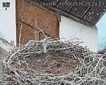 Capi_Dubne_20260810_202003.jpg