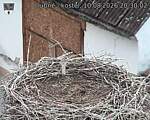 Capi_Dubne_20260810_203002.jpg