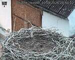 Capi_Dubne_20260810_204002.jpg