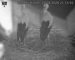 Capi_Dubne_20260810_211502.jpg
