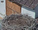 Capi_Dubne_20260811_122003.jpg