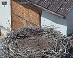 Capi_Dubne_20260811_134003.jpg