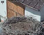 Capi_Dubne_20260811_134504.jpg