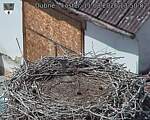 Capi_Dubne_20260811_135002.jpg