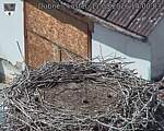 Capi_Dubne_20260811_140003.jpg