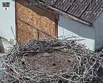 Capi_Dubne_20260811_141002.jpg