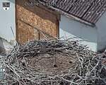 Capi_Dubne_20260811_143502.jpg