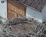 Capi_Dubne_20260811_144502.jpg
