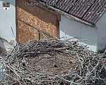 Capi_Dubne_20260811_145003.jpg
