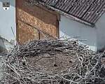 Capi_Dubne_20260811_145502.jpg