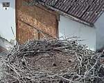 Capi_Dubne_20260811_150503.jpg