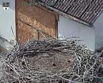 Capi_Dubne_20260811_151003.jpg