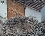 Capi_Dubne_20260811_151503.jpg