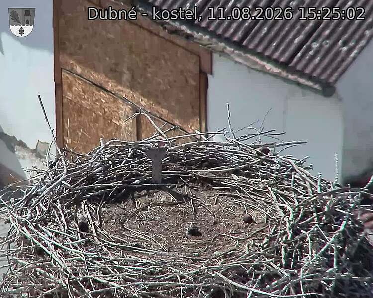preload