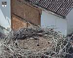 Capi_Dubne_20260811_154502.jpg