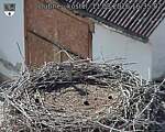 Capi_Dubne_20260811_163502.jpg