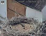 Capi_Dubne_20260811_170503.jpg