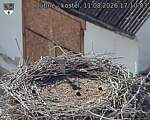 Capi_Dubne_20260811_171003.jpg