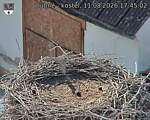 Capi_Dubne_20260811_174502.jpg