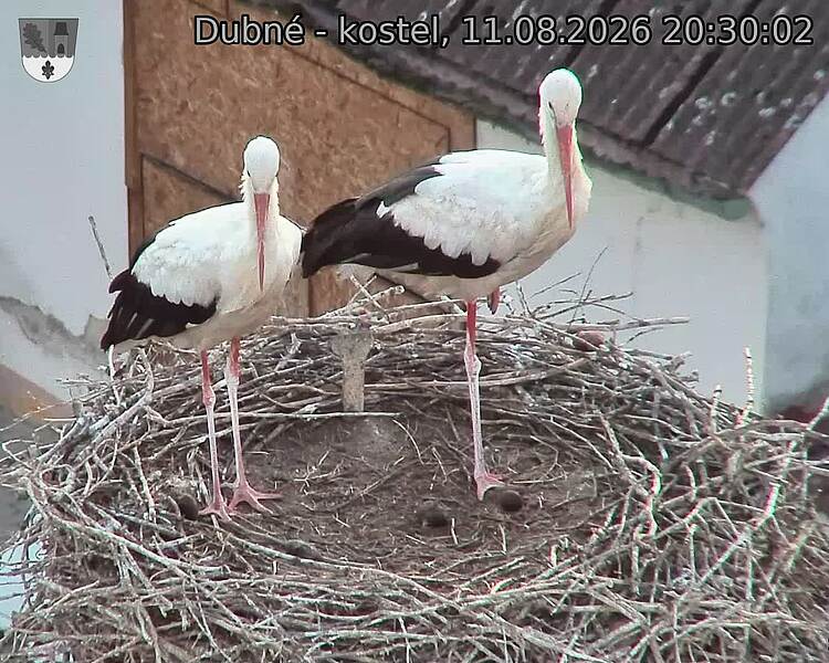 preload