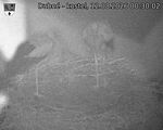 Capi_Dubne_20260812_003002.jpg