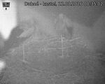 Capi_Dubne_20260812_003502.jpg